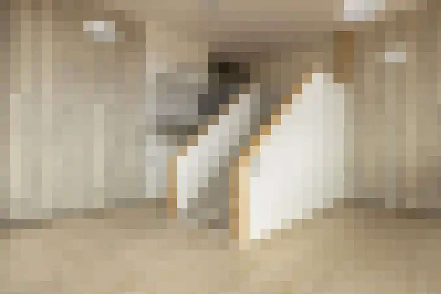 Elstarstraat 25 Amsterdam thumbnail 33