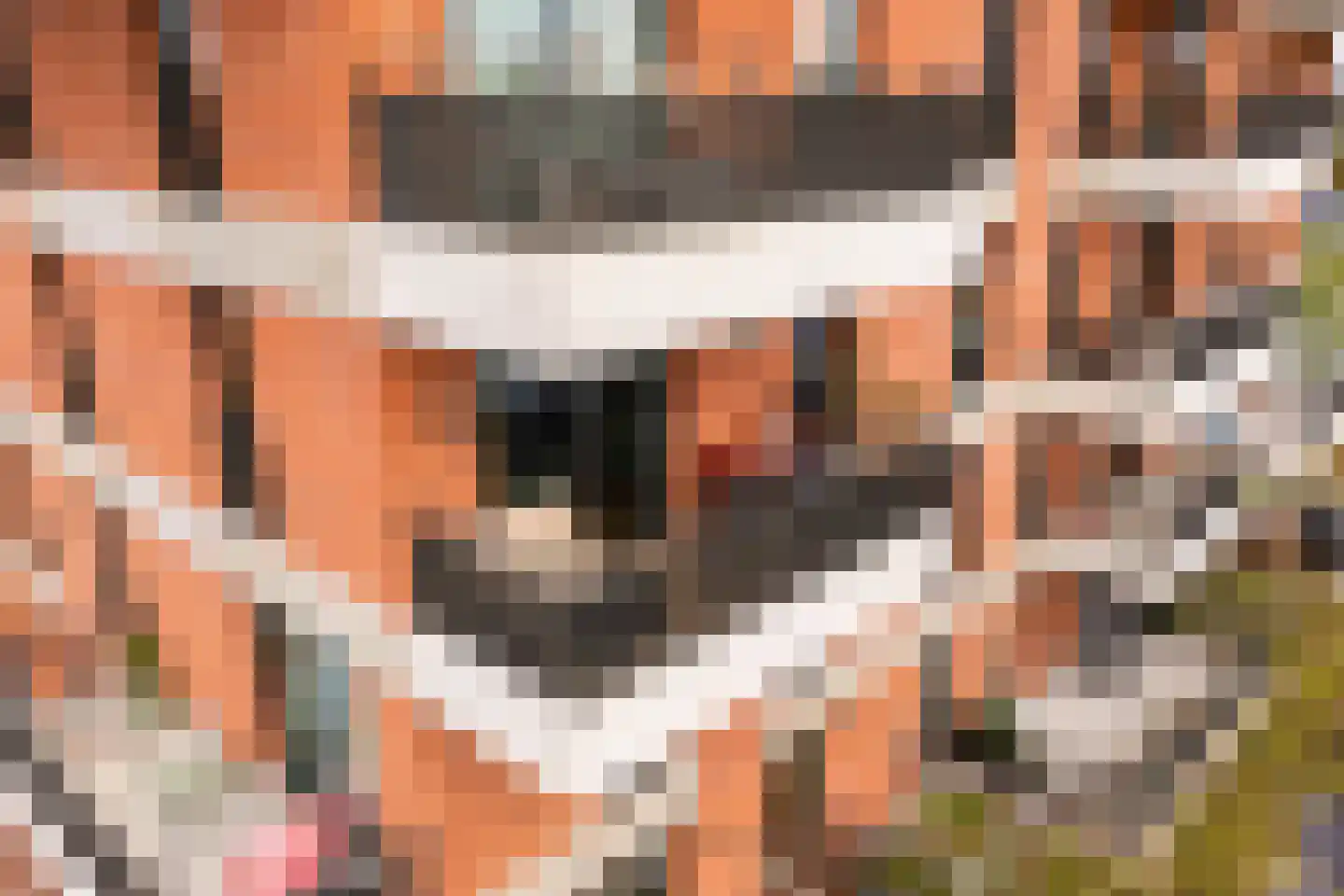 Elstarstraat 25 Amsterdam thumbnail 39