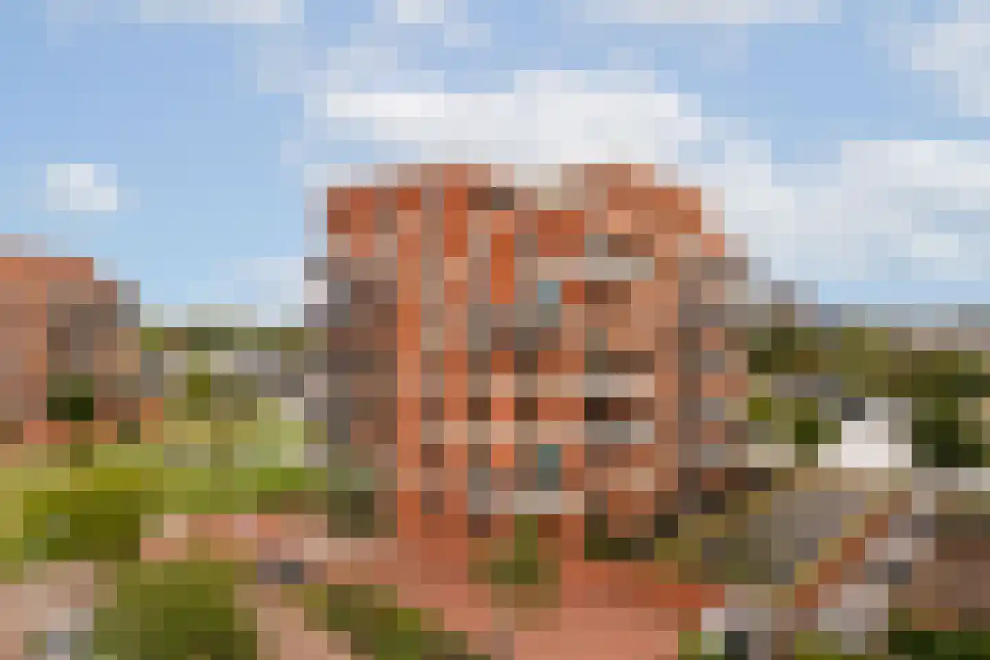 Elstarstraat 25 Amsterdam thumbnail 5