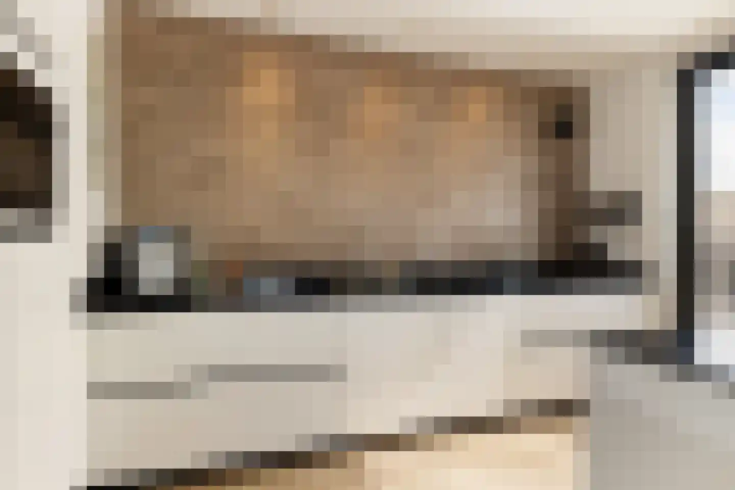 Elstarstraat 25 Amsterdam thumbnail 7