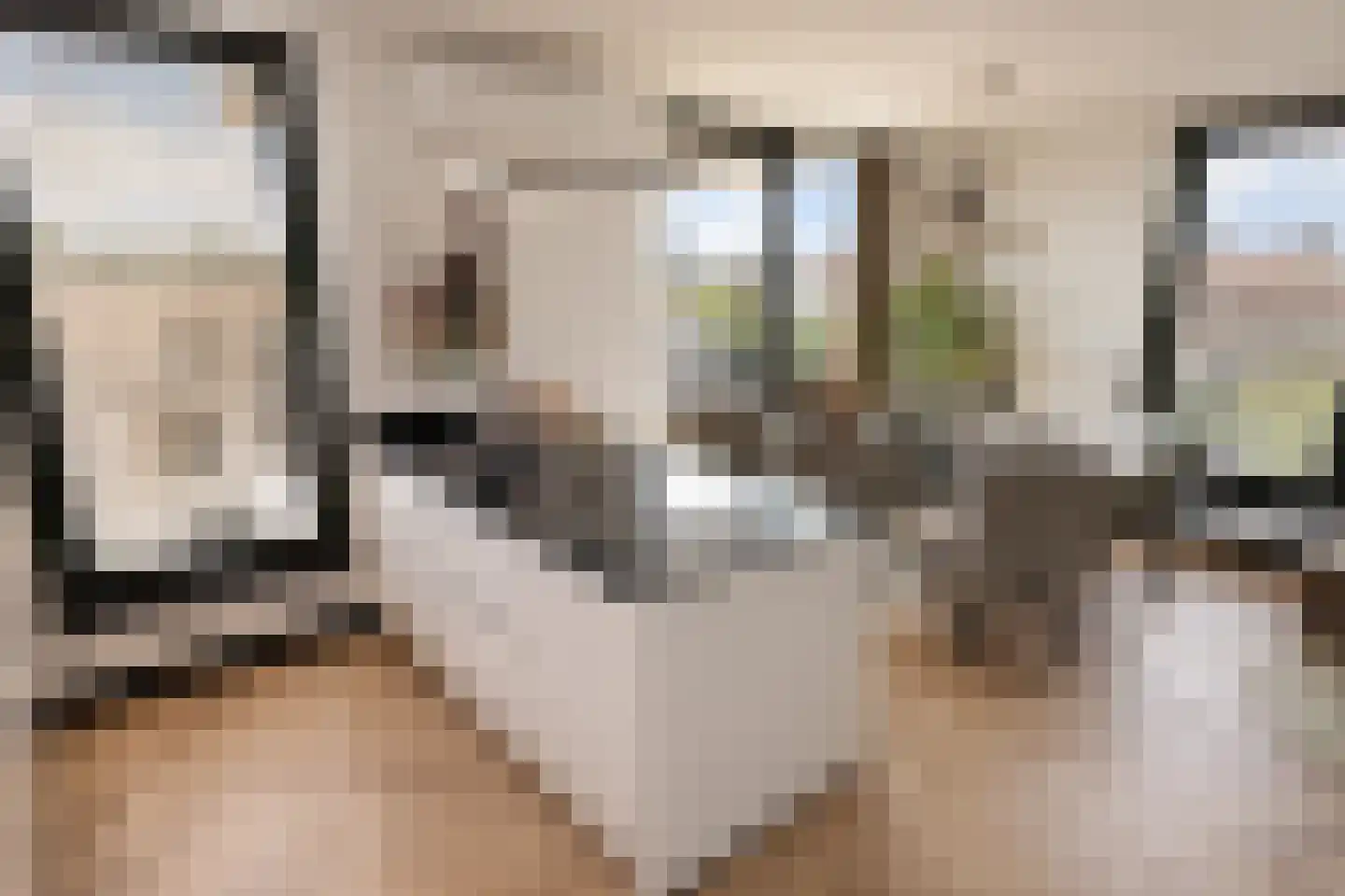 Elstarstraat 25 Amsterdam thumbnail 9