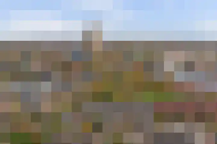 Elstarstraat 38 Kapelle thumbnail 37
