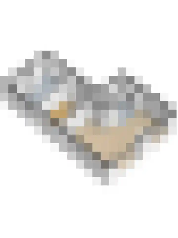 Elstarstraat 38 Kapelle thumbnail 43