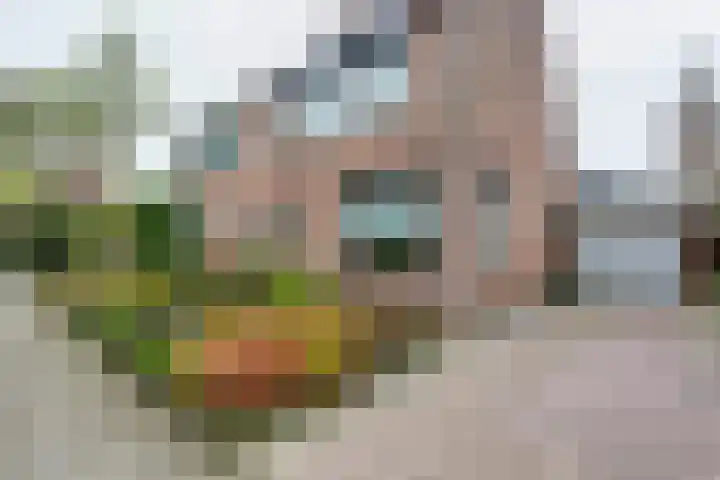 Elstarstraat 50 Kapelle thumbnail 4
