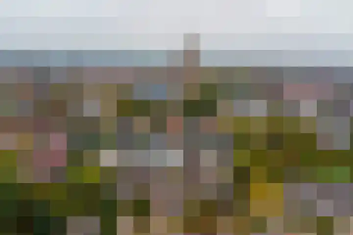 Elstarstraat 50 Kapelle thumbnail 40