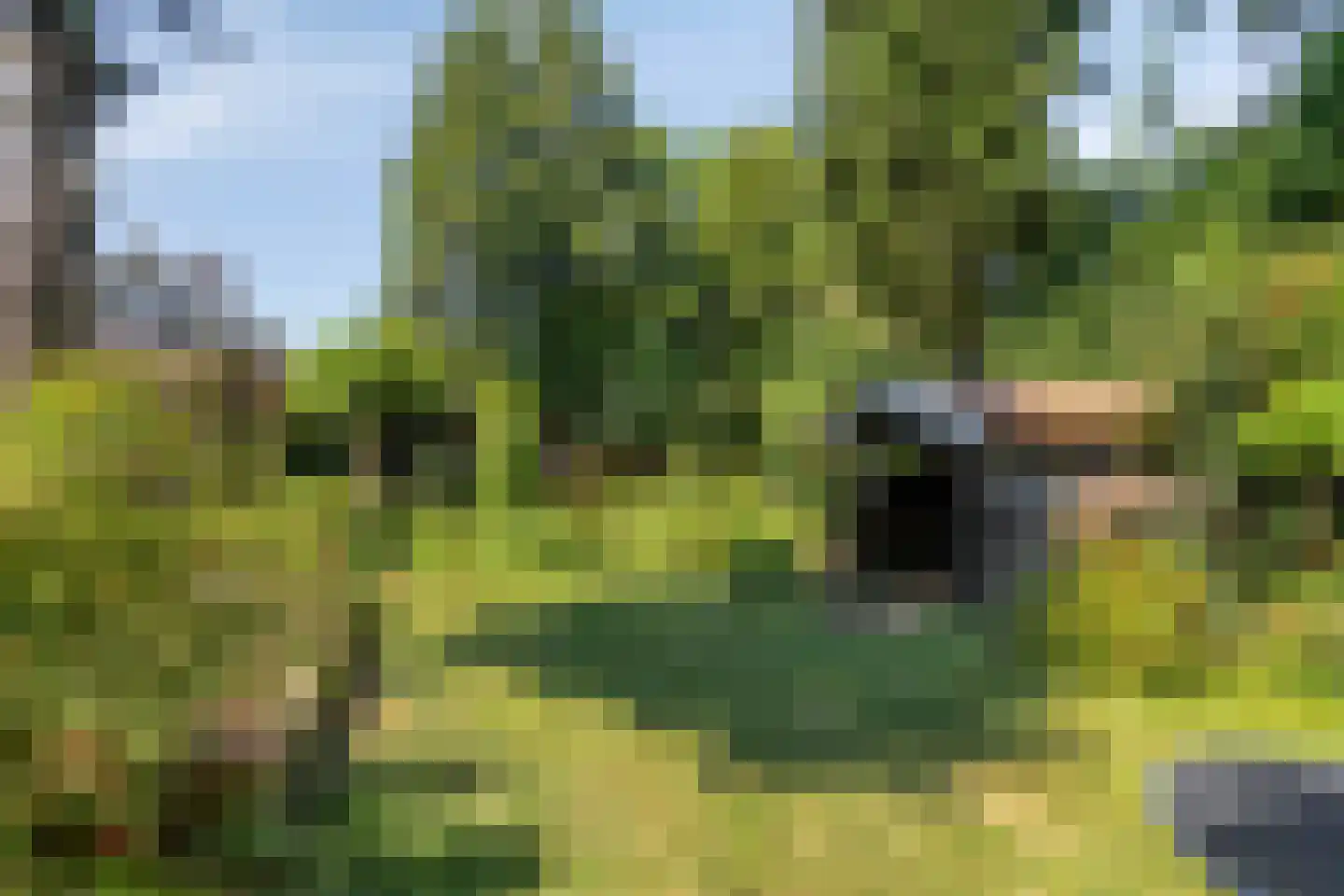 Elstarstraat 54 Kapelle thumbnail 11