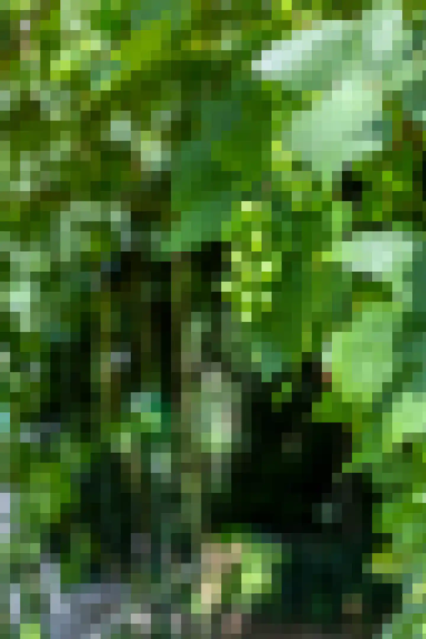 Elstarstraat 54 Kapelle thumbnail 12