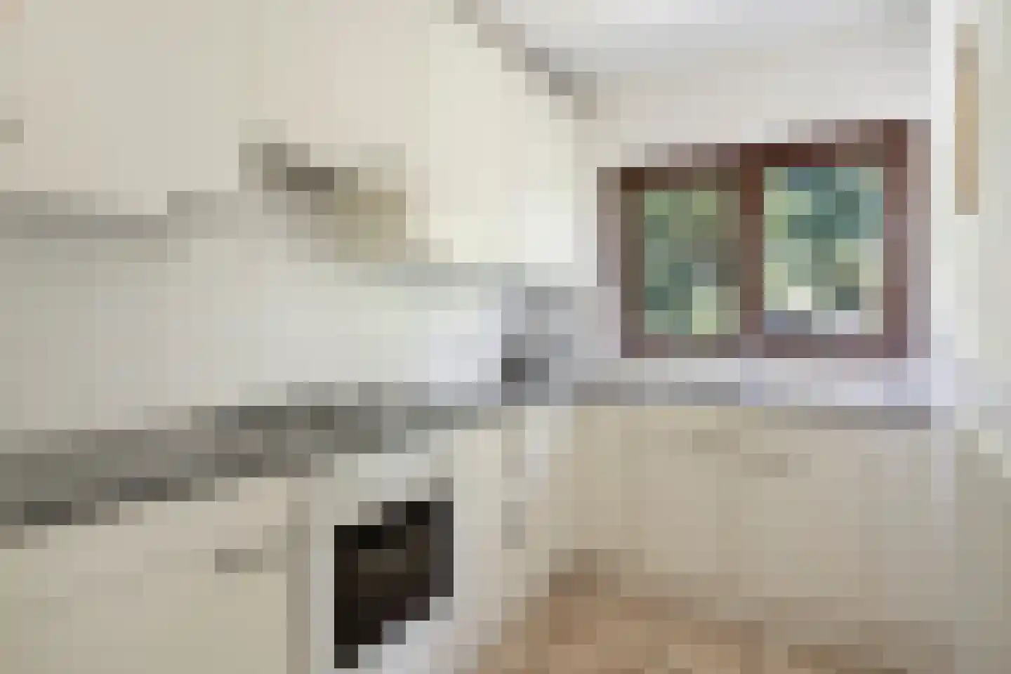 Elstarstraat 54 Kapelle thumbnail 22