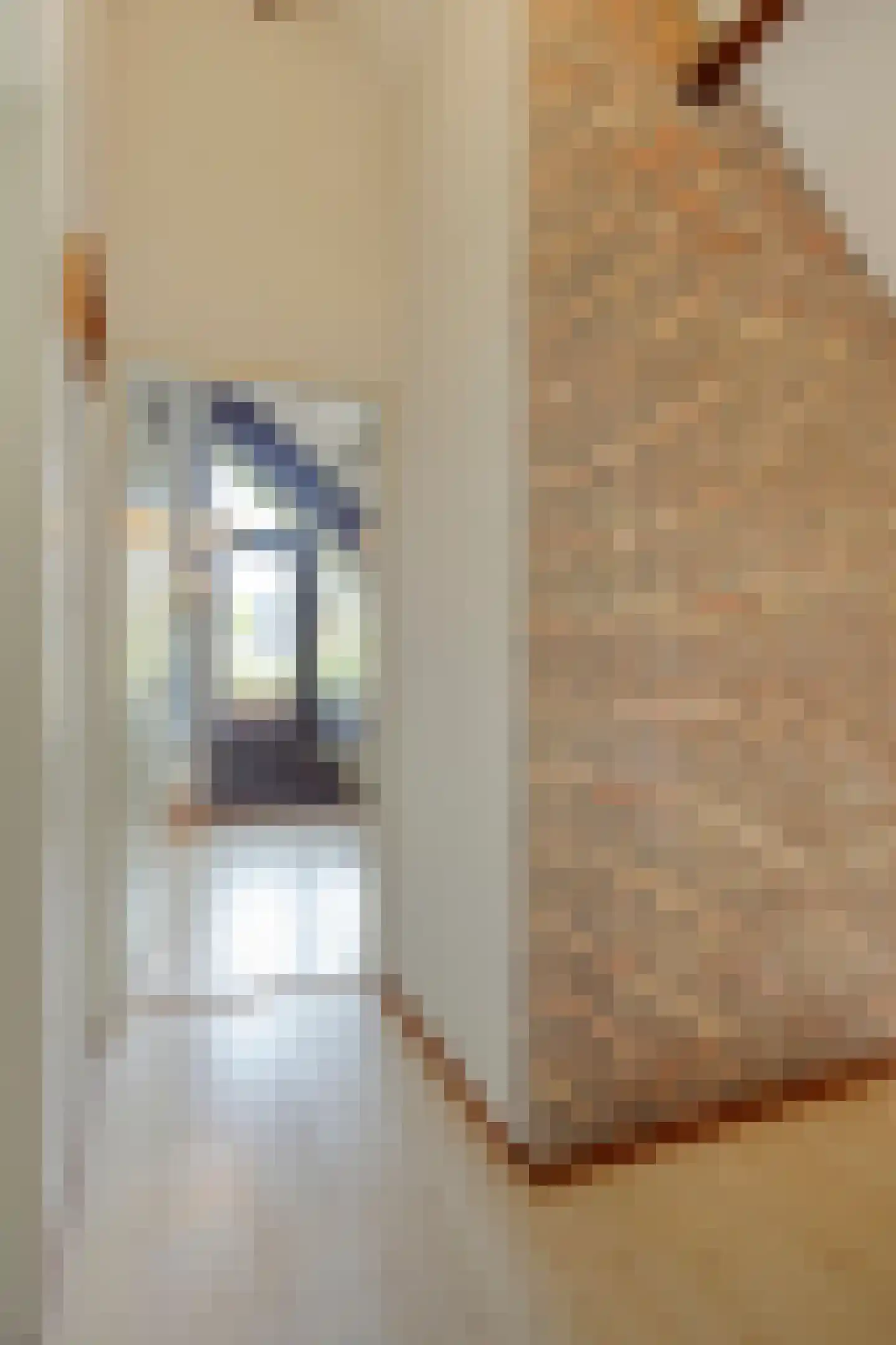 Elstarstraat 54 Kapelle thumbnail 38