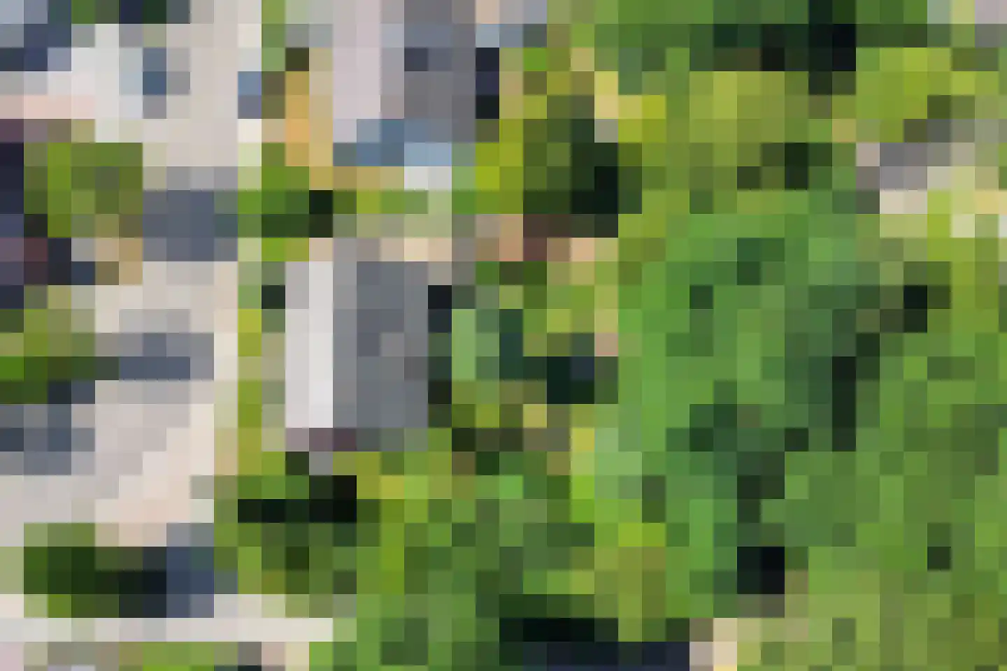 Elstarstraat 54 Kapelle thumbnail 42