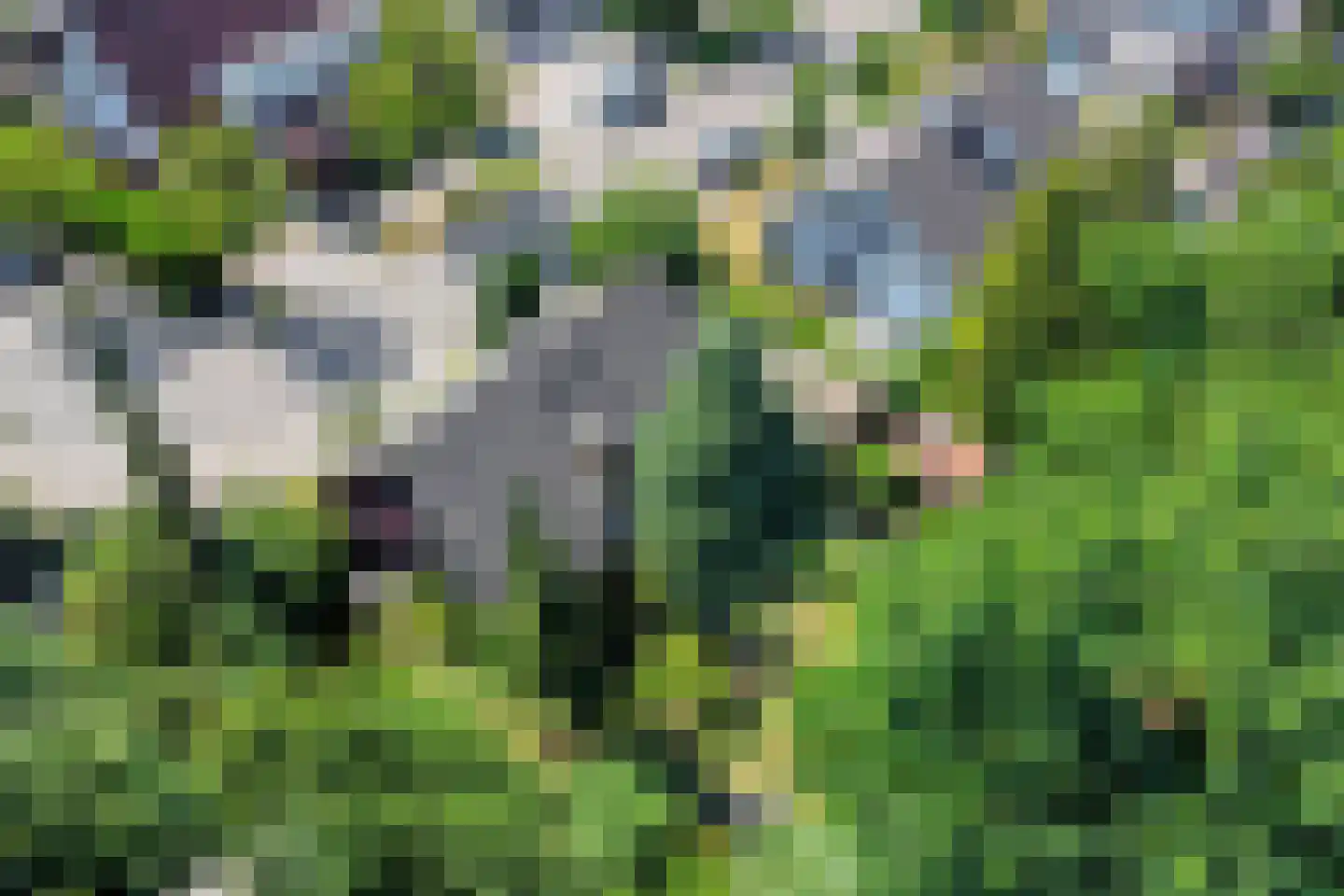 Elstarstraat 54 Kapelle thumbnail 43