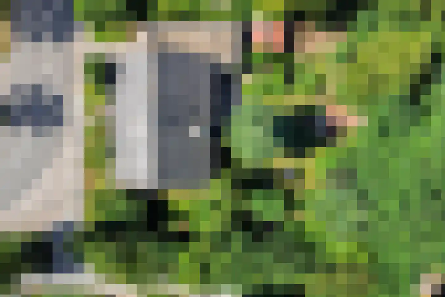 Elstarstraat 54 Kapelle thumbnail 7
