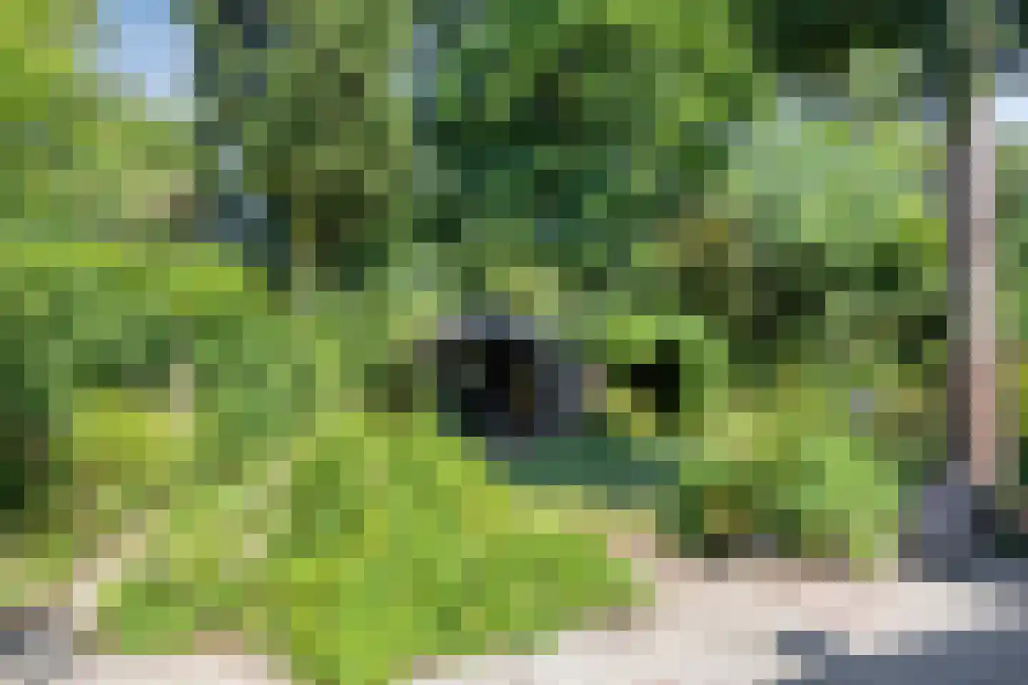 Elstarstraat 54 Kapelle thumbnail 8