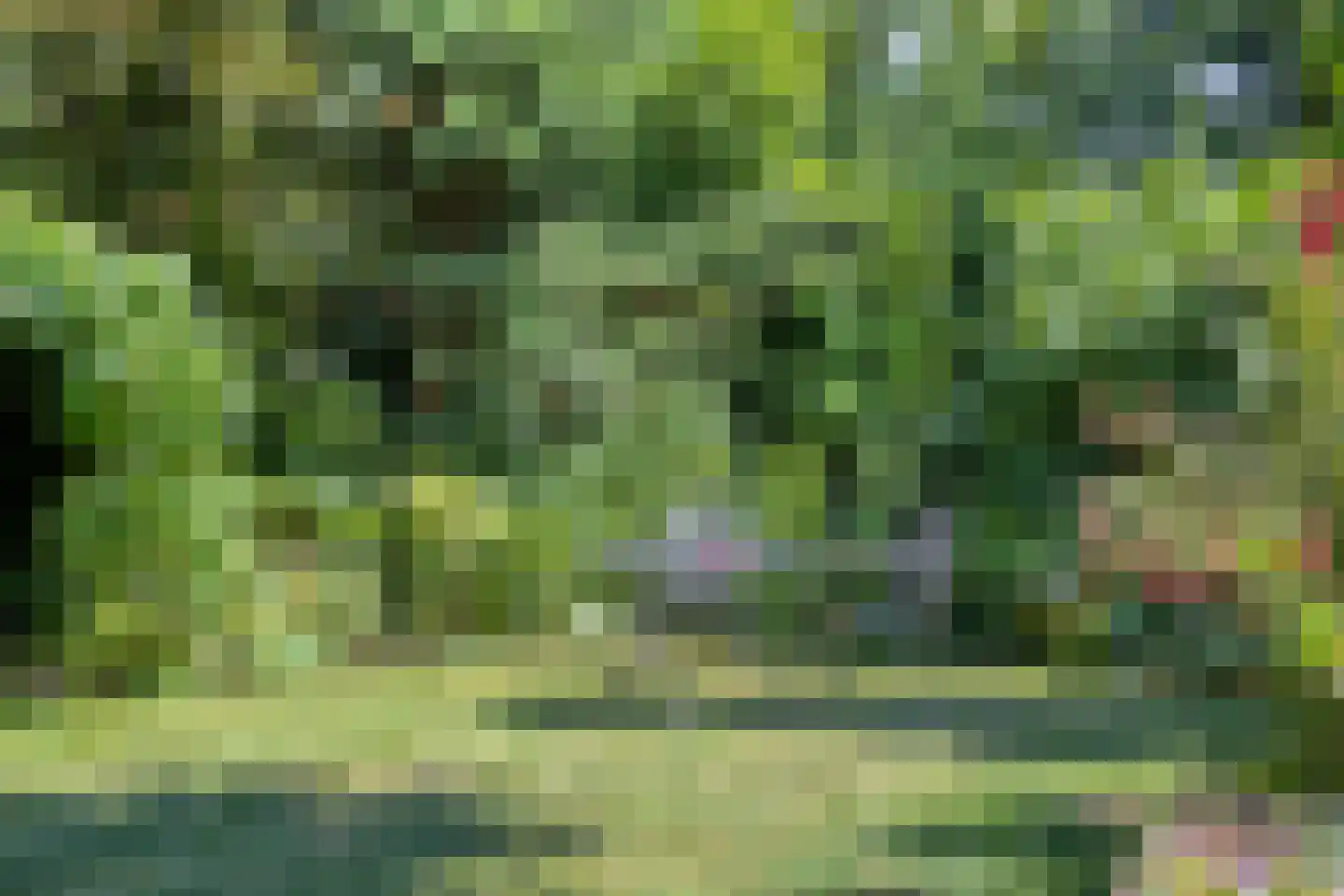 Elstarstraat 54 Kapelle thumbnail 9