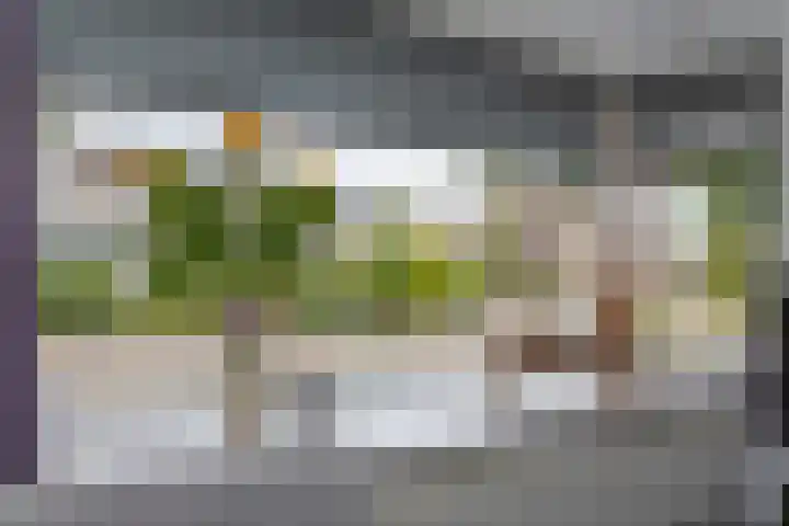 Elstarstraat 57 Kapelle thumbnail 14