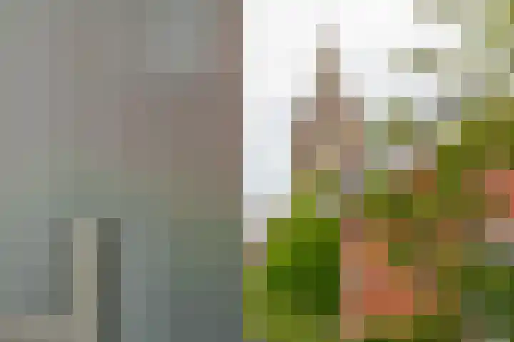 Elstarstraat 57 Kapelle thumbnail 30