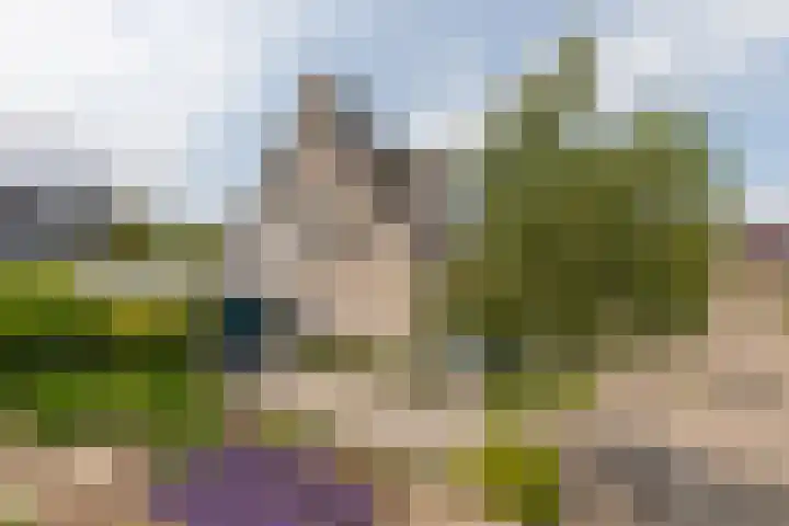 Elstarstraat 57 Kapelle thumbnail 37