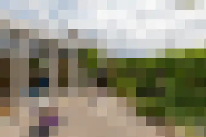 Elstarstraat 57 Kapelle thumbnail 4