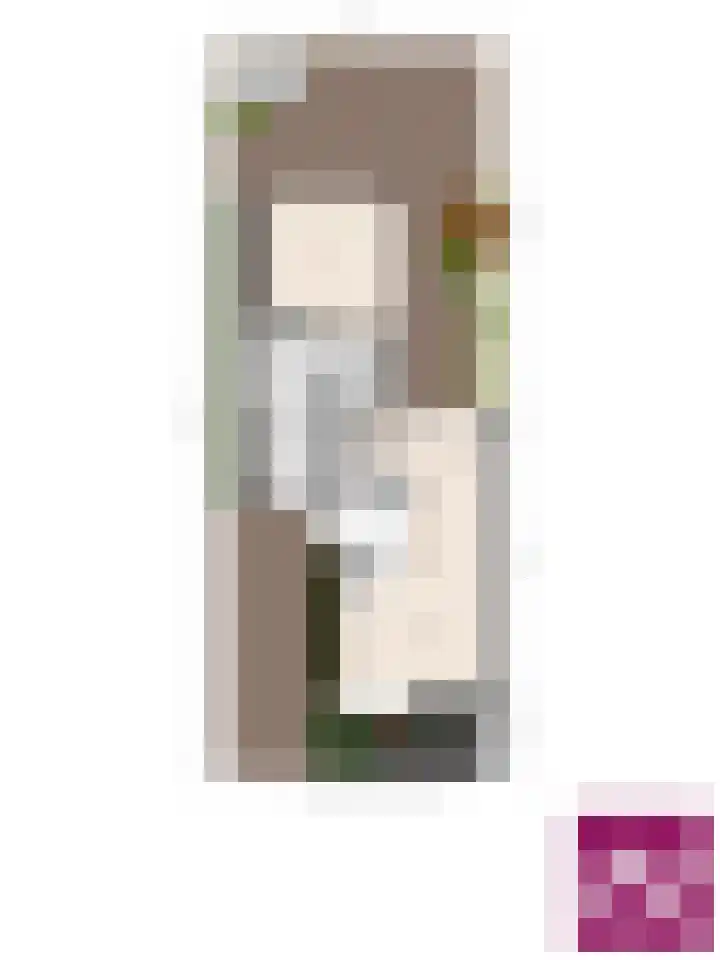 Elstarstraat 57 Kapelle thumbnail 41