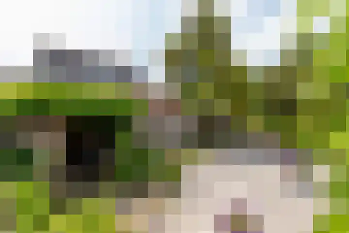 Elstarstraat 57 Kapelle thumbnail 5