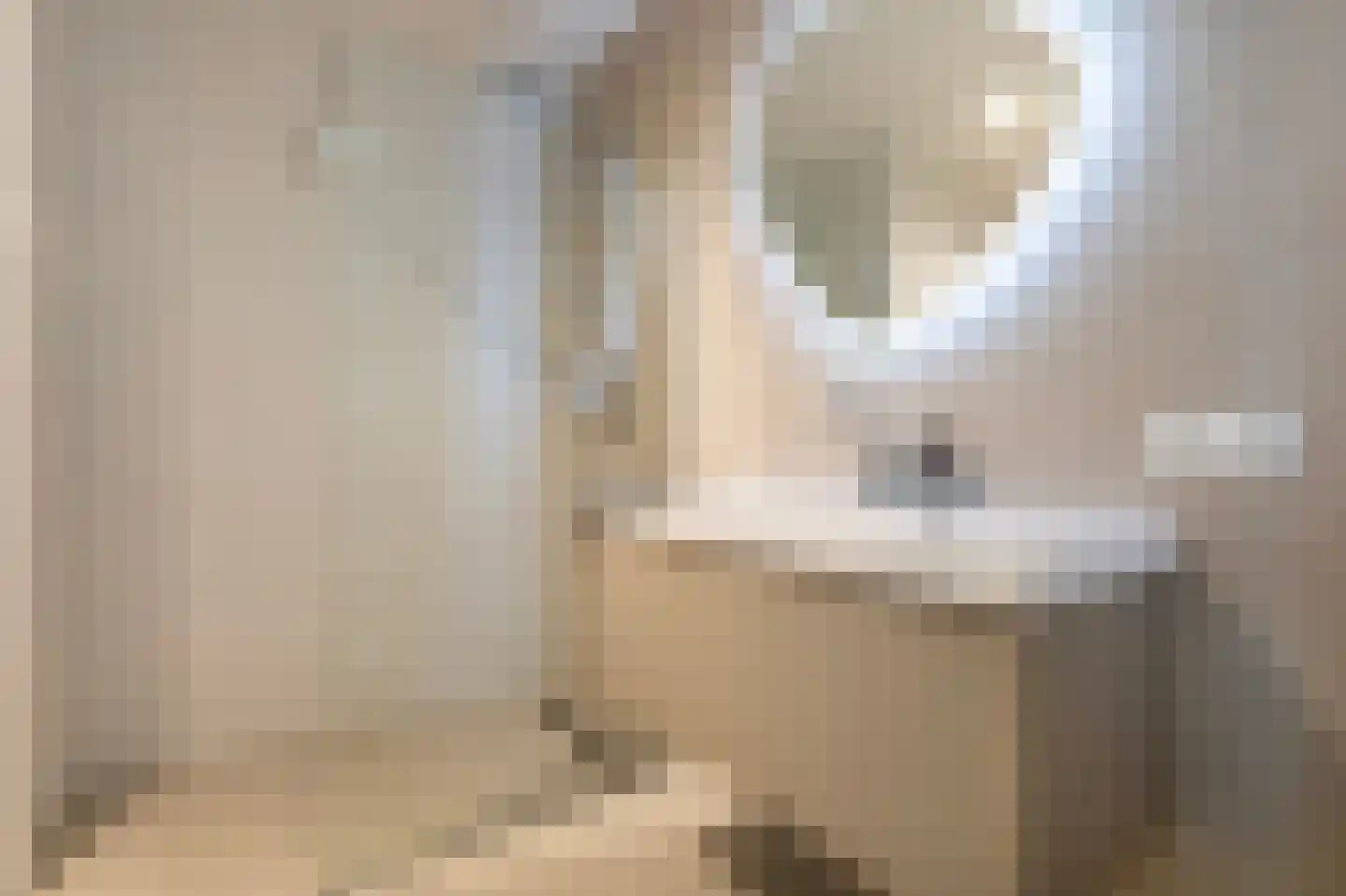 Elstarstraat 69 Amsterdam thumbnail 25