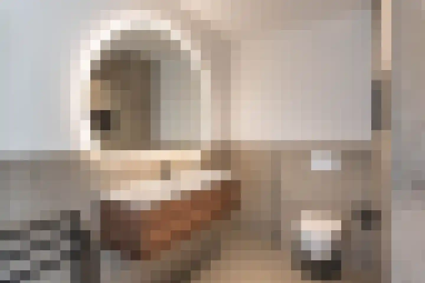 Elstarstraat 79 Amsterdam thumbnail 18