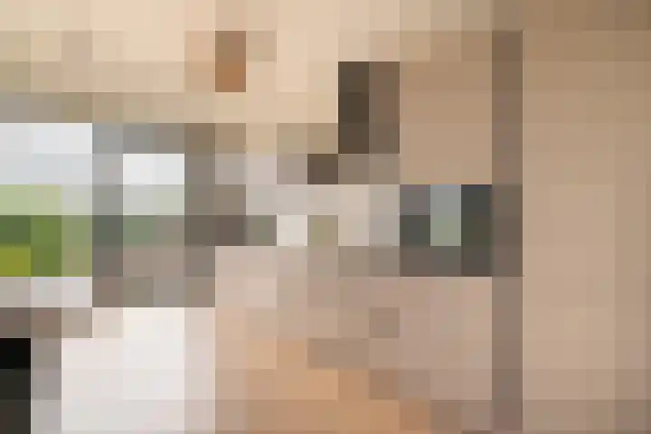 Elstarstraat 9 Amsterdam thumbnail 10