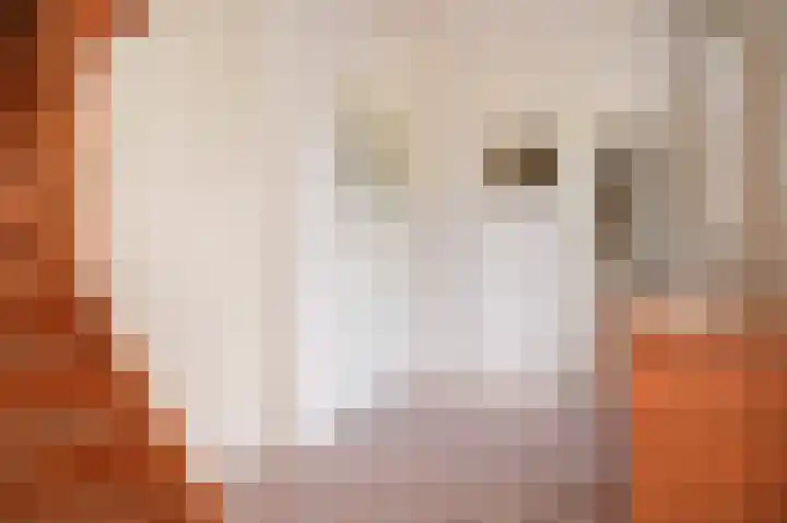 Elster Grindweg 2 Driel thumbnail 16