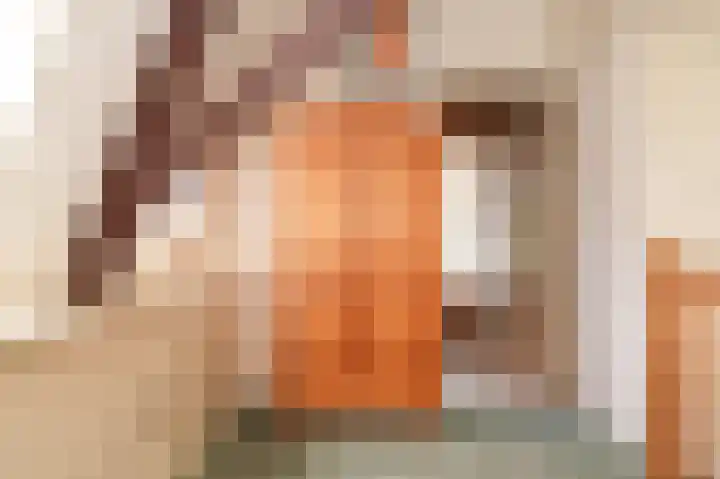 Elster Grindweg 2 Driel thumbnail 17