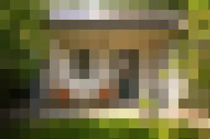 Elster Grindweg 2 Driel thumbnail 25