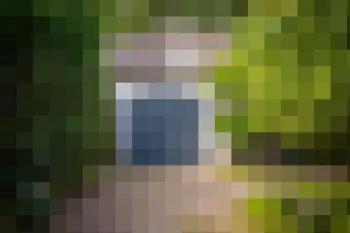 Elster Grindweg 2 Driel thumbnail 31