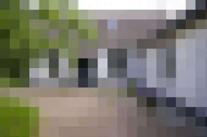 Elster Grindweg 2 Driel thumbnail 32