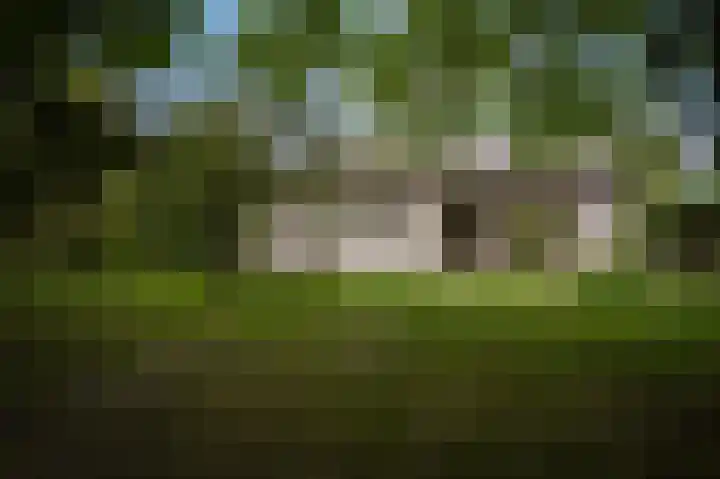 Elster Grindweg 2 Driel thumbnail 35