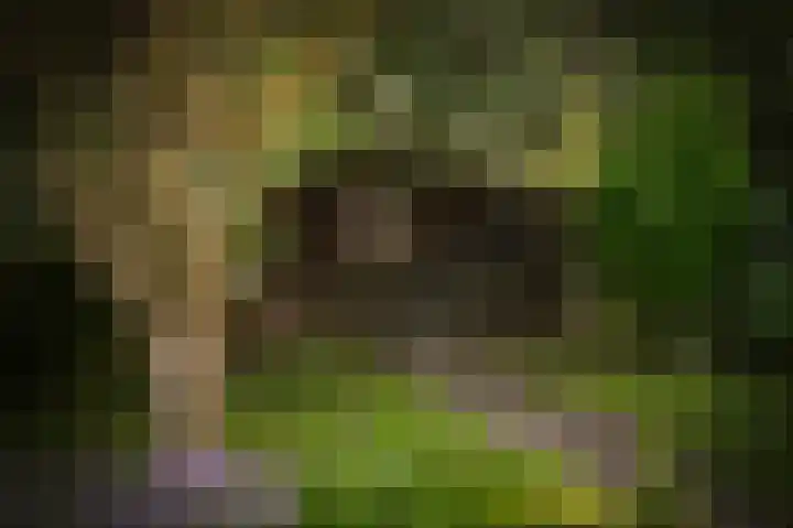 Elster Grindweg 2 Driel thumbnail 37