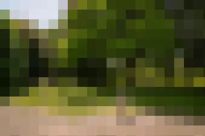 Elster Grindweg 2 Driel thumbnail 38