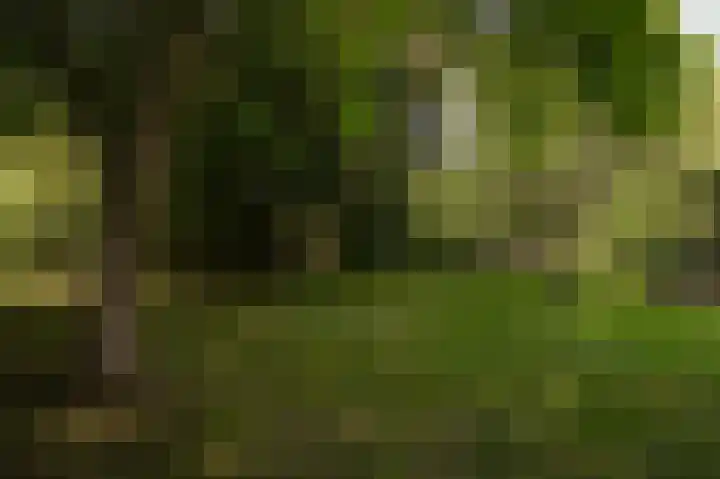 Elster Grindweg 2 Driel thumbnail 39