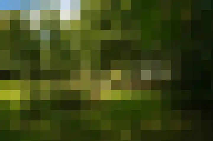 Elster Grindweg 2 Driel thumbnail 40