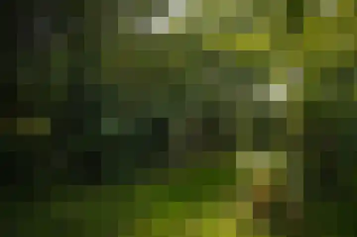 Elster Grindweg 2 Driel thumbnail 41
