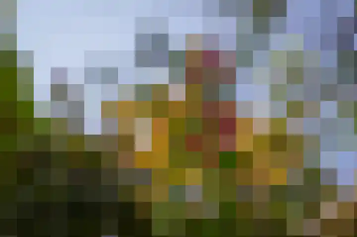 Elster Grindweg 2 Driel thumbnail 42