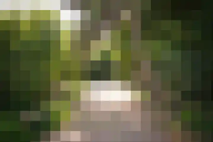 Elster Grindweg 2 Driel thumbnail 43