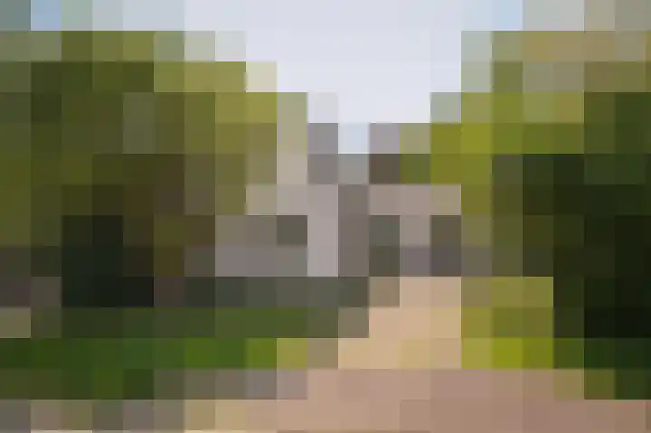 Elster Grindweg 2 Driel thumbnail 44