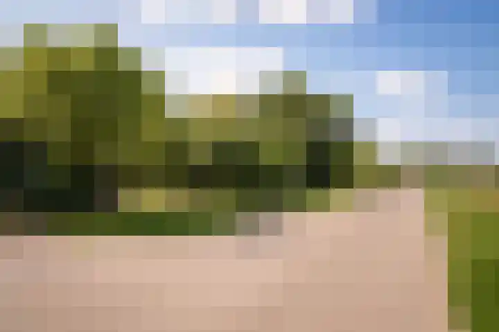 Elster Grindweg 2 Driel thumbnail 46