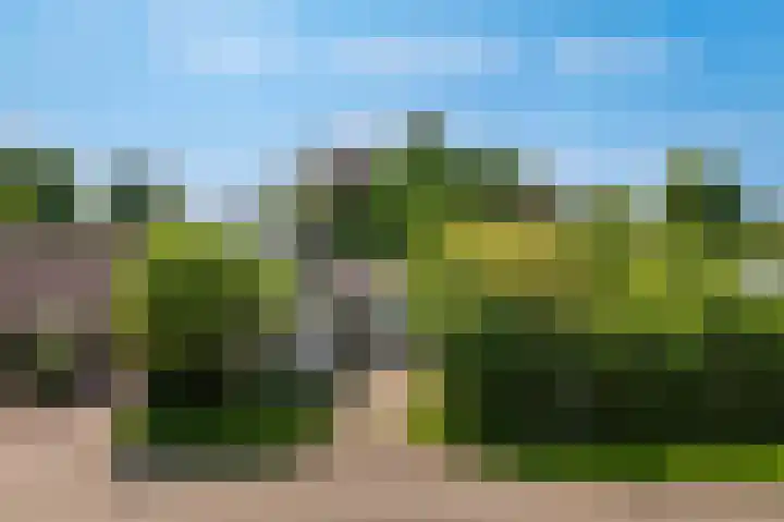 Elster Grindweg 2 Driel thumbnail 48