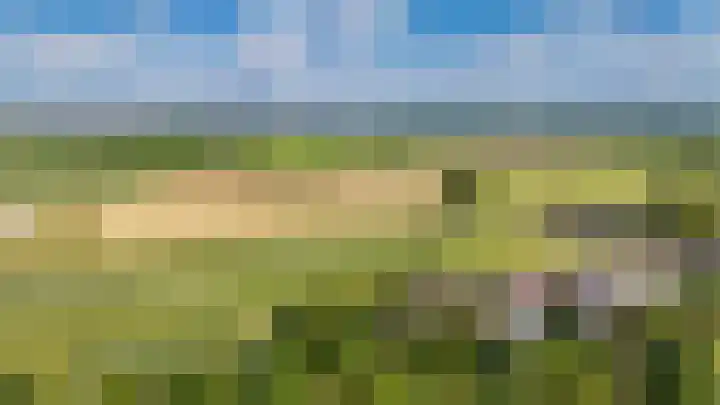 Elster Grindweg 2 Driel thumbnail 50