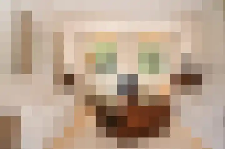 Elster Grindweg 2 Driel thumbnail 8