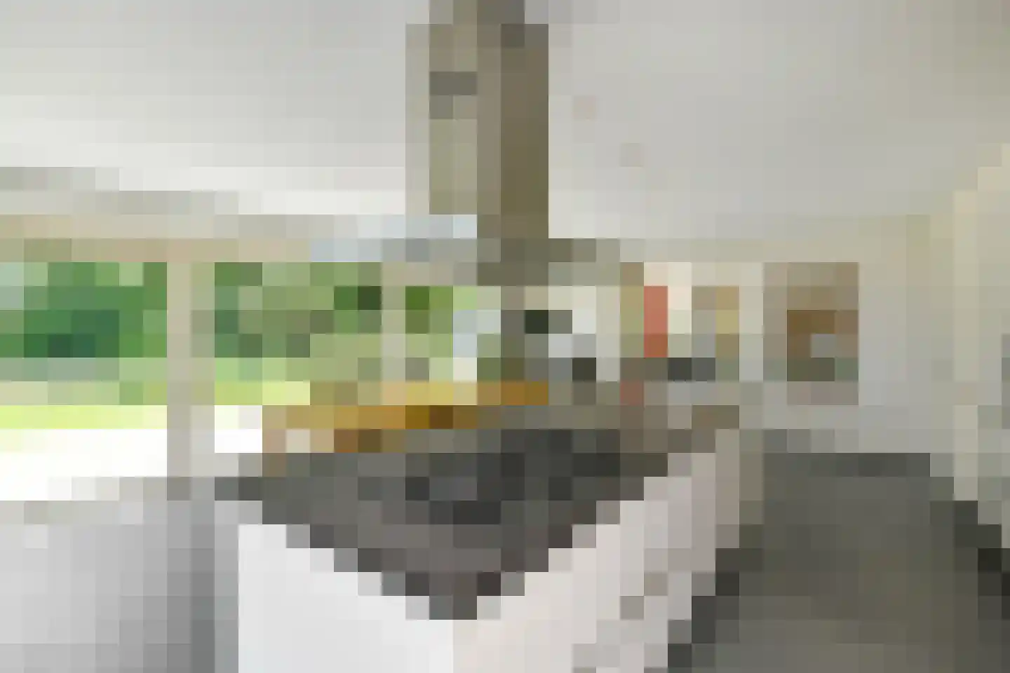 Elster Grindweg 3 a Driel thumbnail 10