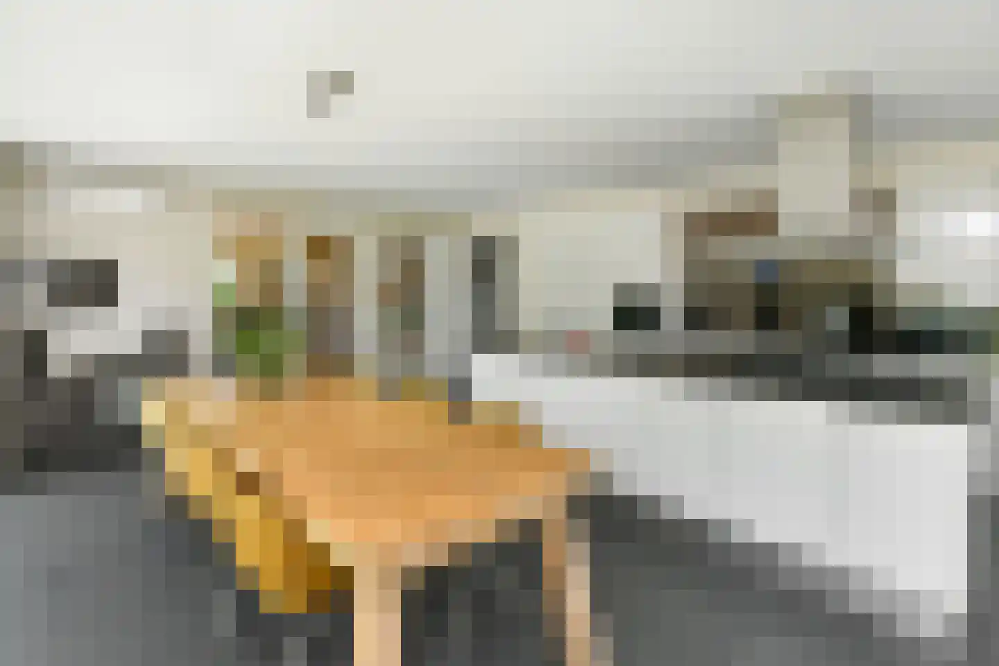 Elster Grindweg 3 a Driel thumbnail 11