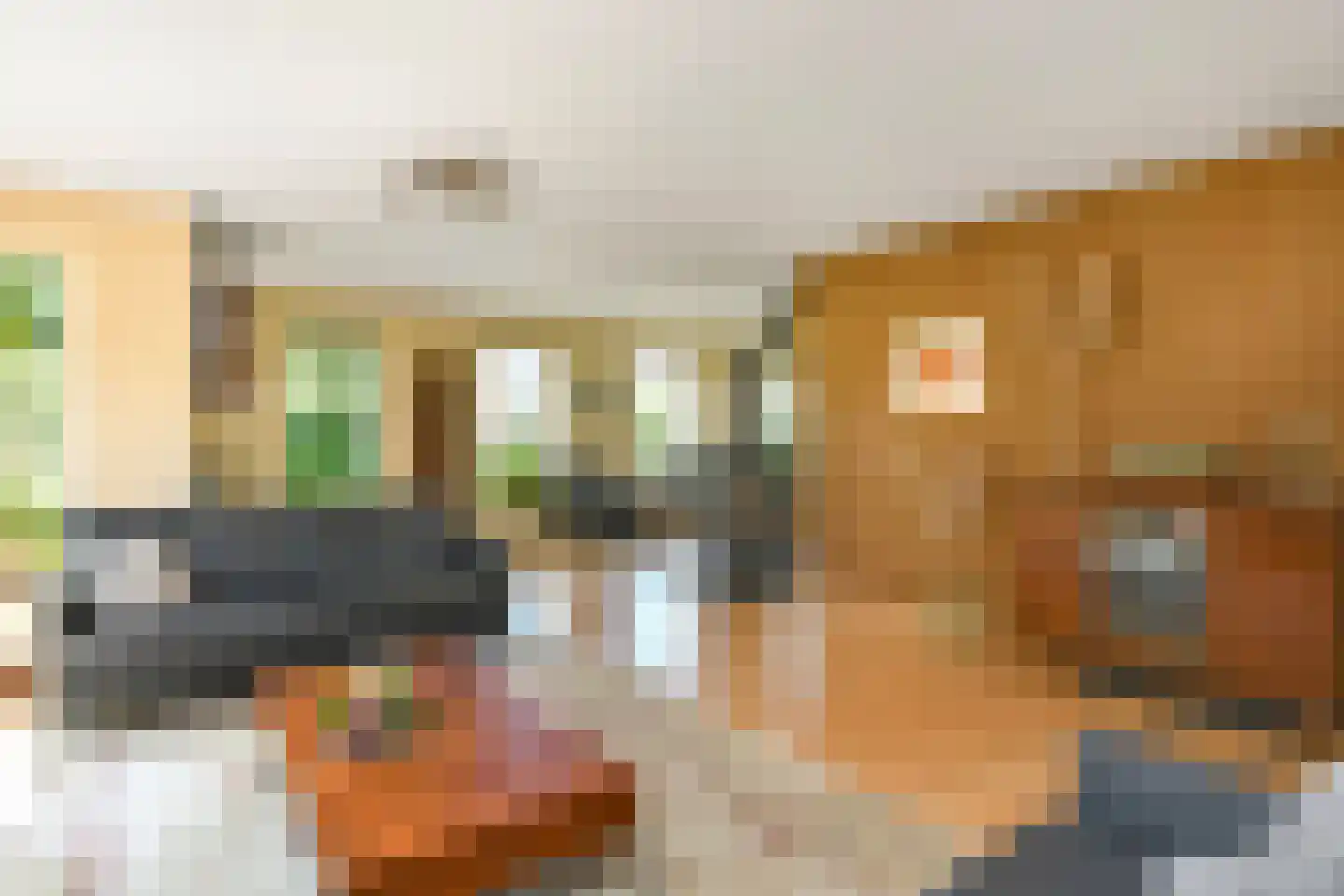 Elster Grindweg 3 a Driel thumbnail 13