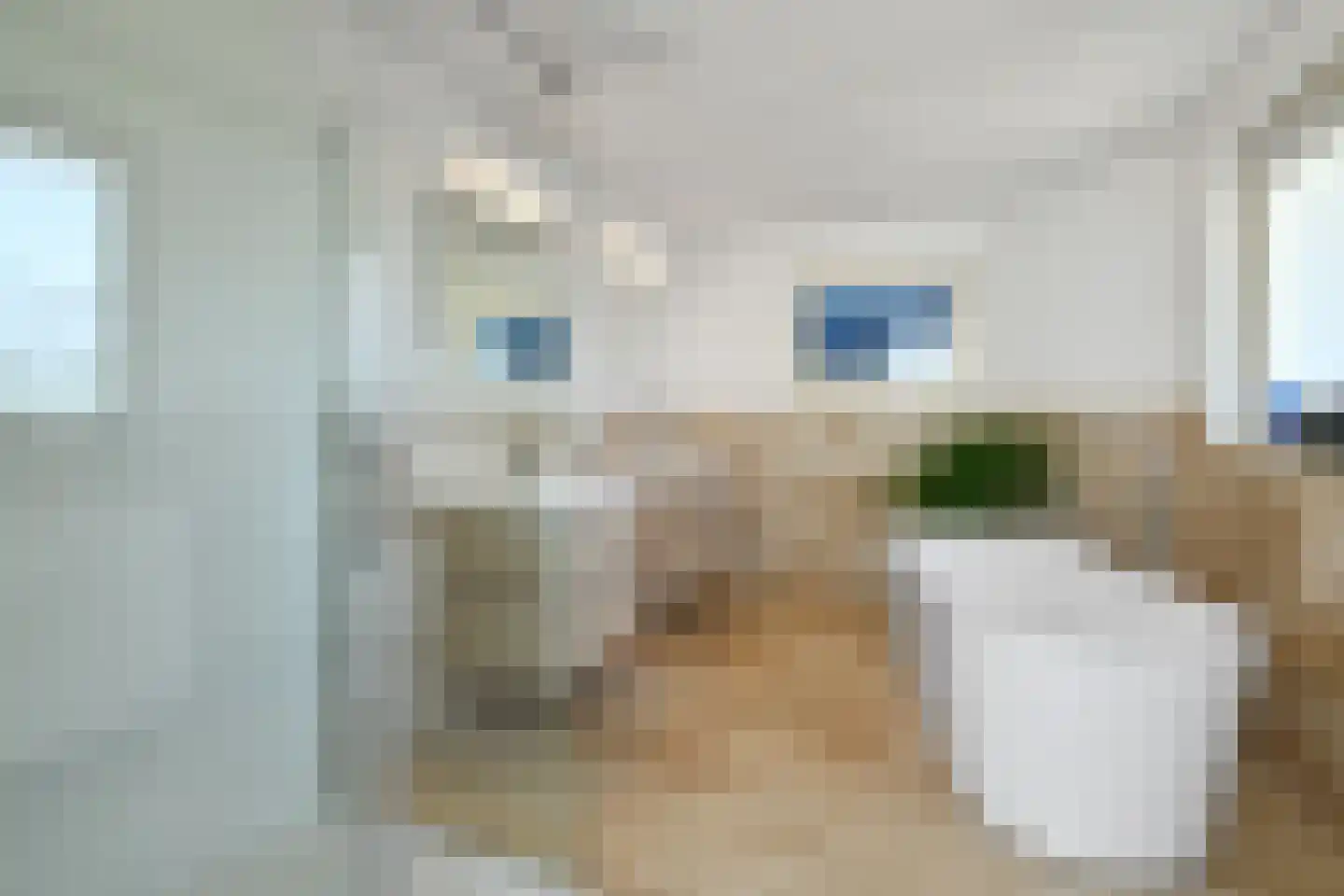 Elster Grindweg 3 a Driel thumbnail 17