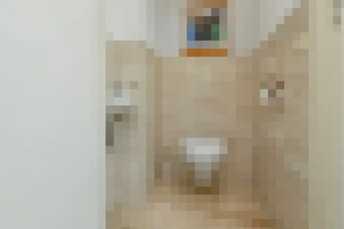 Elster Grindweg 3 a Driel thumbnail 22